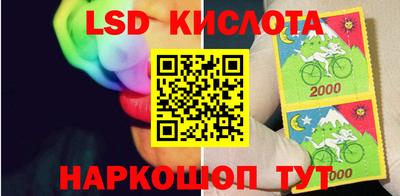 молекула духа Кандалакша
