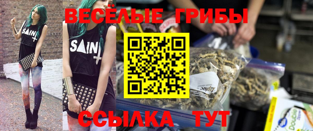 Псилоцибиновые грибы прущие грибы  Вход с VPN  Псилоцибиновые грибы мухоморы  даркнет сайт  Кизляр 