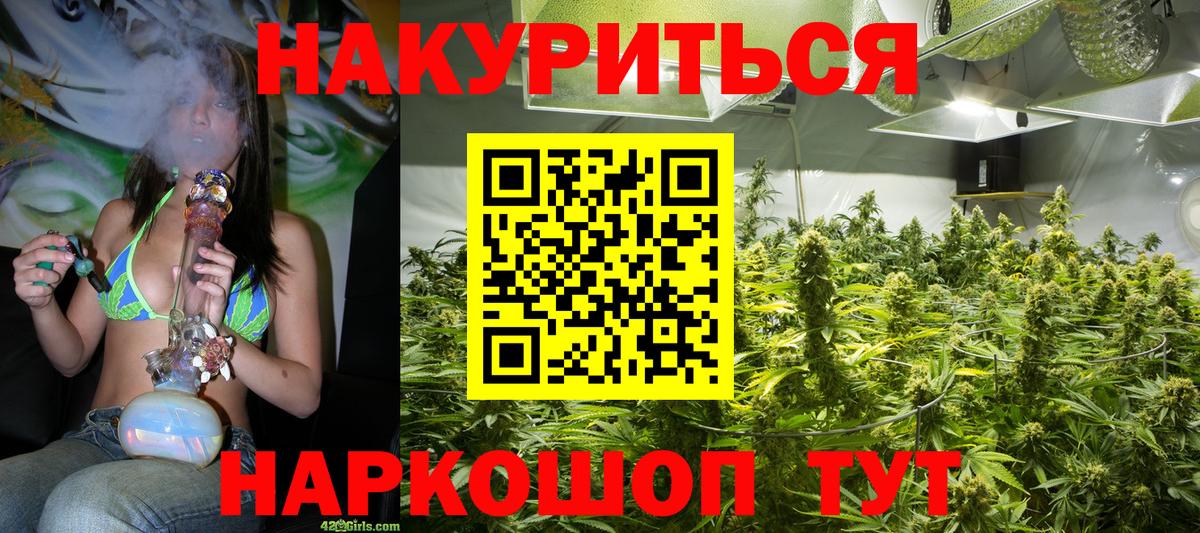 Каннабис индика Кизляр